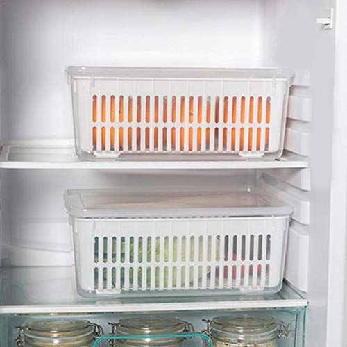 Plastic Vegetables Washing Basin Fruit and Vegetable Storage Box & Vegetable Washing Basket