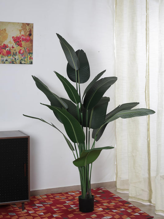 Arickdecor Artificial Traveller's Banana Silk Plant for Home Decor/Office Decor/Gifting | Natural Looking Indoor Plant