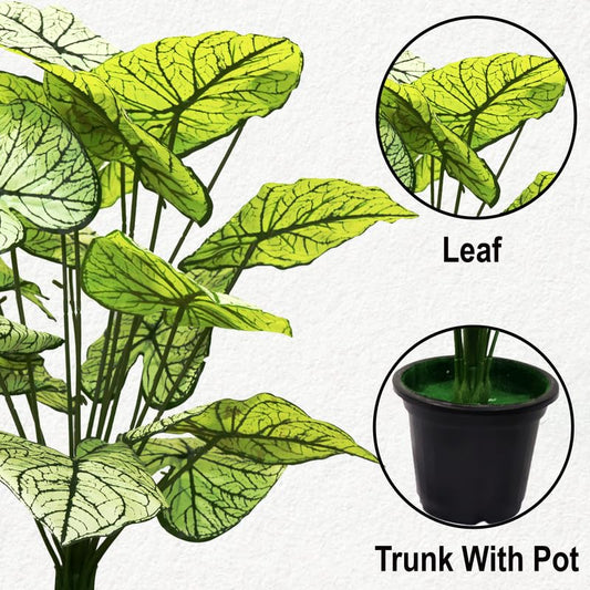 Artificial Philodendron Plant Without Pot Tropical Caladium Plant Ornamental Plant for Indoor Decor, Home, Shop, Office Dcor Green & White