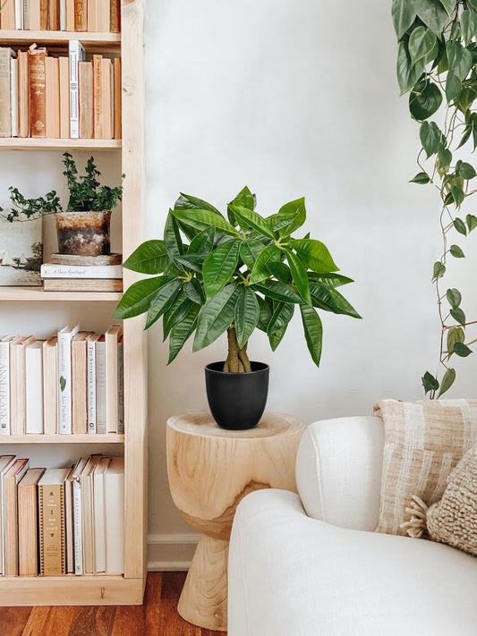 Artificial Plants Indoor Pachira Aquatica Like Real Fake Plants Lucky Chestnut Bonsai Faux Plants in Pot
