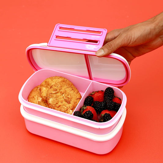 Double Layer Air Tight Lunch Box – 2 Compartment Leak-Proof & Airtight Lid Rectangular Food Container – Durable, Non-Toxic – Freezer & Dishwasher Safe