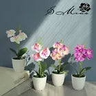 Artificial Flowers Arrangement Orchid Plants Bonsai DIY Home Decoration in a Pot
