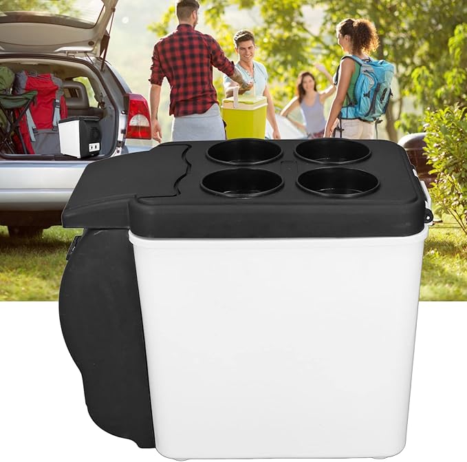 banapoy Mini Fridge, 6L Portable Car Refrigerator 12V Electric Cooler Warmer Freezer for Beverage Drinks, Small Cosmetic Skincare Refrigerator for Camping Travel Truck Van